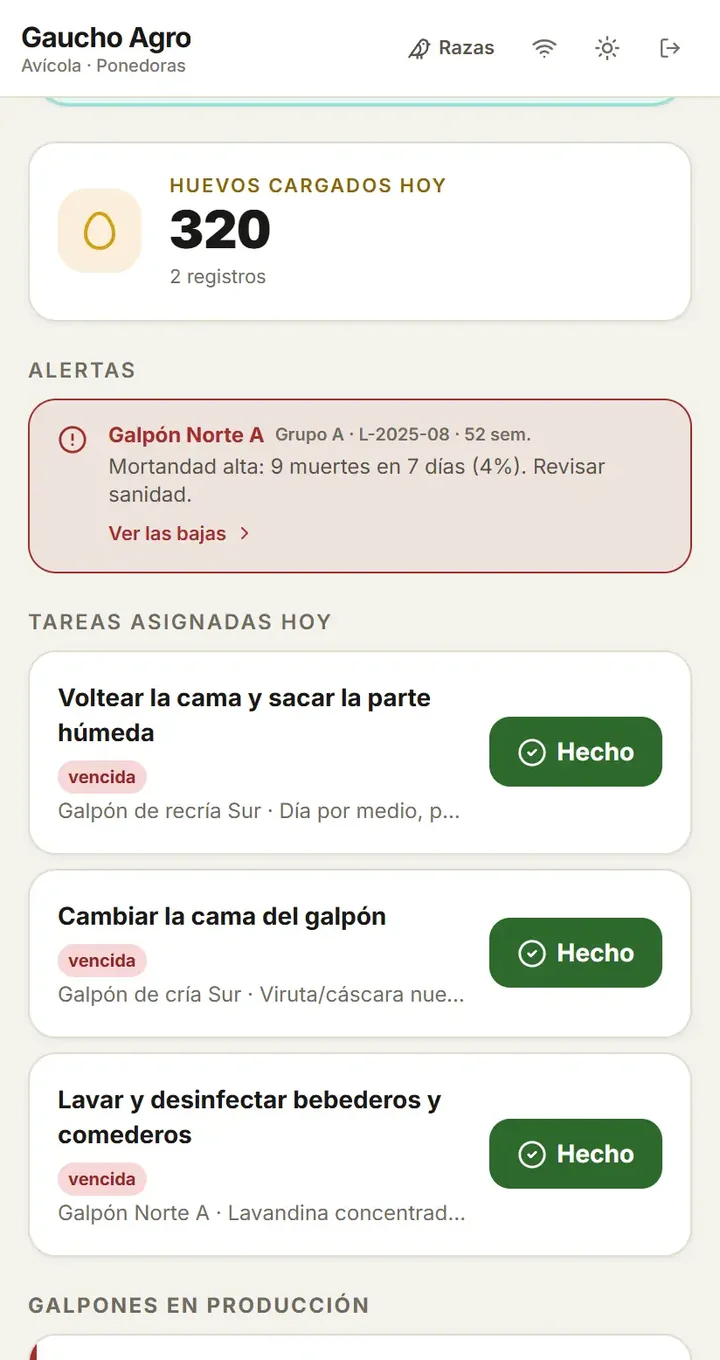 Gaucho Agro: inicio del trabajador con 320 huevos cargados y accesos para registrar el día